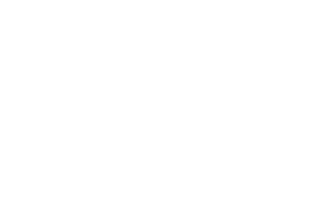  World Obesity Federation