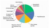 : Percentages (and total number) of survey respondents from multidiscipline professions